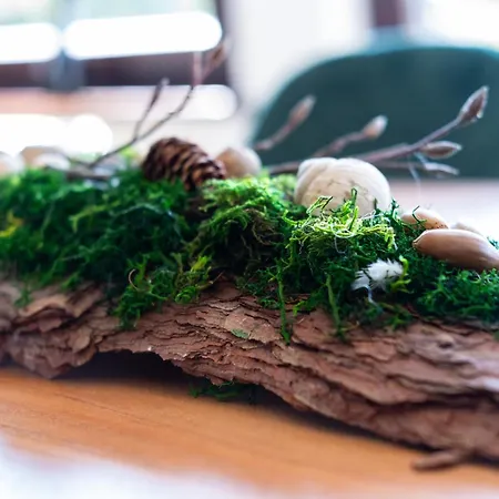 Apartamento Nature Terminal