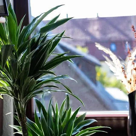 Nature Terminal Steinenbronn