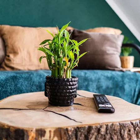 Apartamento Nature Terminal *