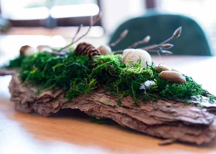 Appartamento Nature Terminal