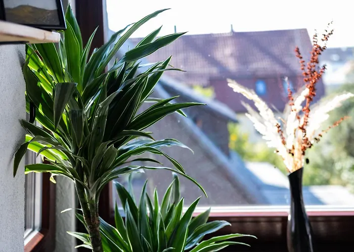 Nature Terminal Steinenbronn