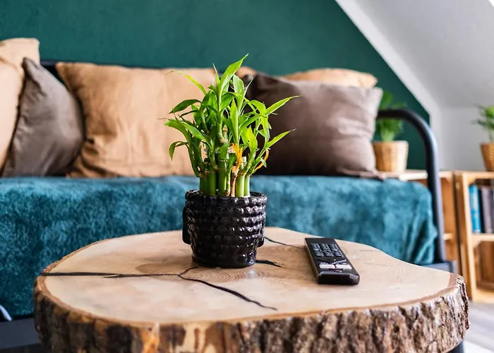 Appartamento Nature Terminal *